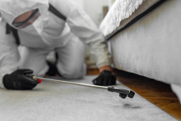 Professional Bed Bug Control technician working in Buffalo Center, IA
