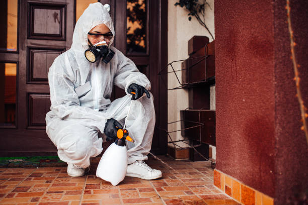 Reliable Bed Bug Control contractor in Buffalo Center, IA by Nex Pest Control