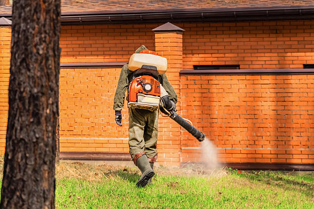 Trusted Fumigation Services service in Buffalo Center, IA - Nex Pest Control